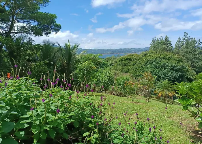 Lakegardens Arenal *
